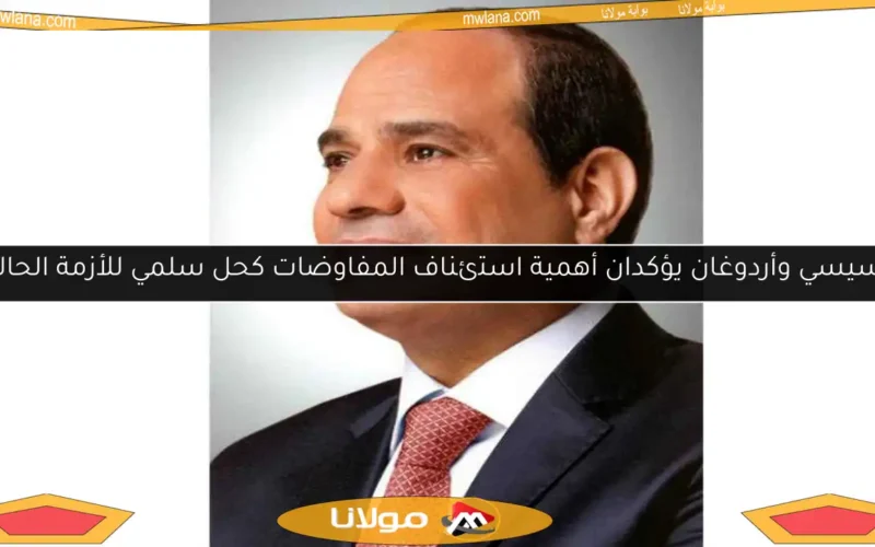 السيسي وأردوغان يؤكدان أهمية استئناف المفاوضات كحل سلمي للأزمة الحالية