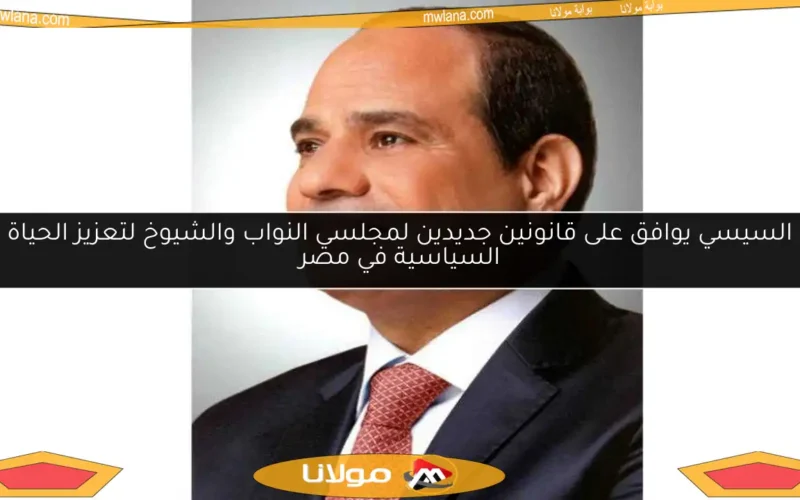 السيسي يوافق على قانونين جديدين لمجلسي النواب والشيوخ لتعزيز الحياة السياسية في مصر