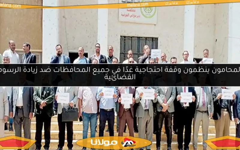 المحامون ينظمون وقفة احتجاجية غدًا في جميع المحافظات ضد زيادة الرسوم القضائية