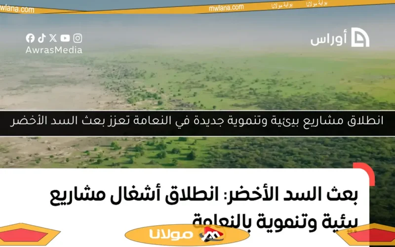 انطلاق مشاريع بيئية وتنموية جديدة في النعامة تعزز بعث السد الأخضر