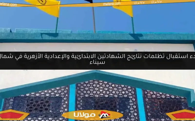 بدء استقبال تظلمات نتائج الشهادتين الابتدائية والإعدادية الأزهرية في شمال سيناء