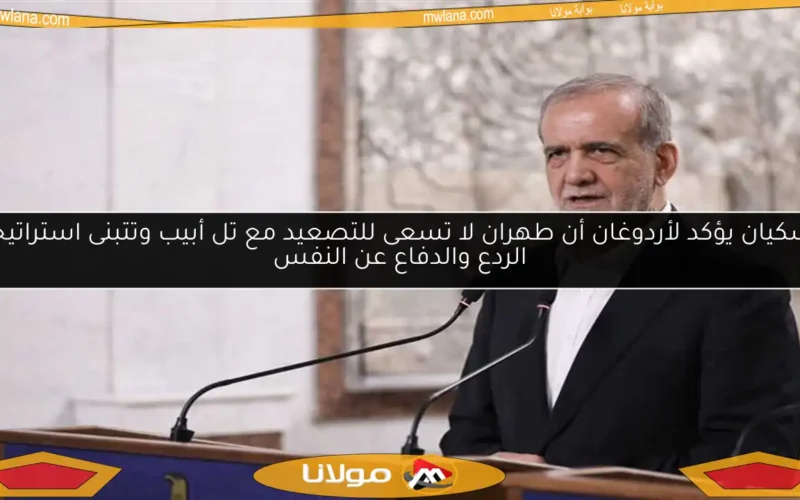 بزشكيان يؤكد لأردوغان أن طهران لا تسعى للتصعيد مع تل أبيب وتتبنى استراتيجية الردع والدفاع عن النفس