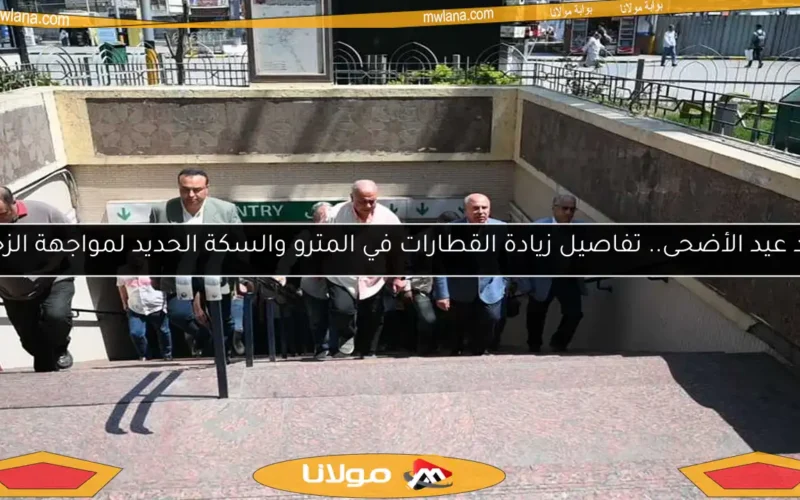 بعد عيد الأضحى.. تفاصيل زيادة القطارات في المترو والسكة الحديد لمواجهة الزحام