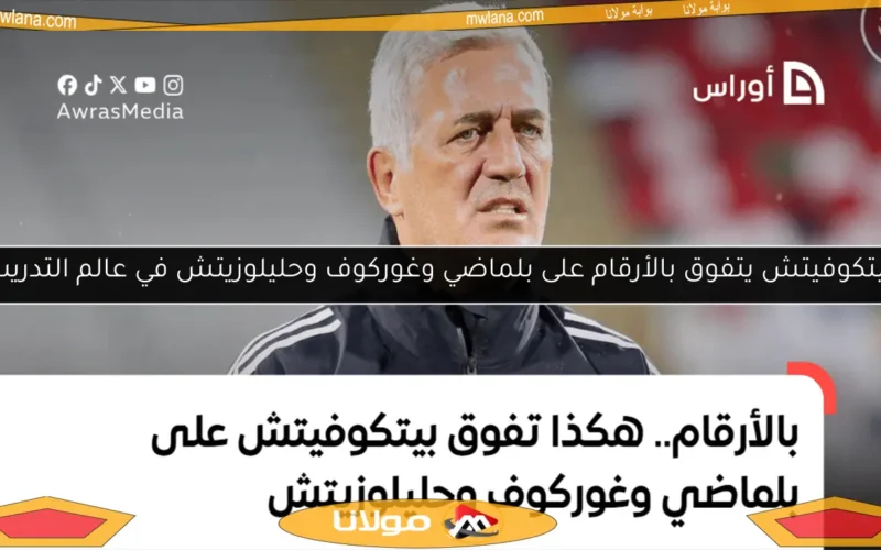 بيتكوفيتش يتفوق بالأرقام على بلماضي وغوركوف وحليلوزيتش في عالم التدريب