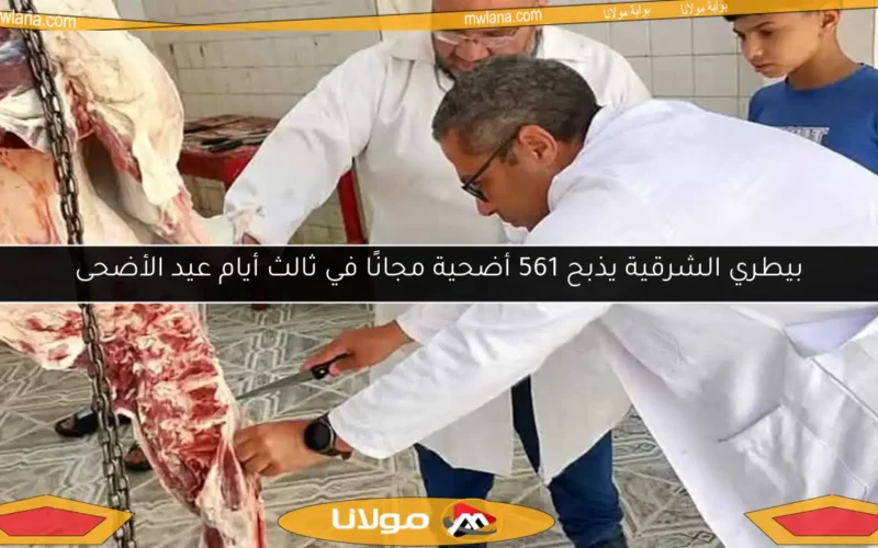 بيطري الشرقية يذبح 561 أضحية مجانًا في ثالث أيام عيد الأضحى