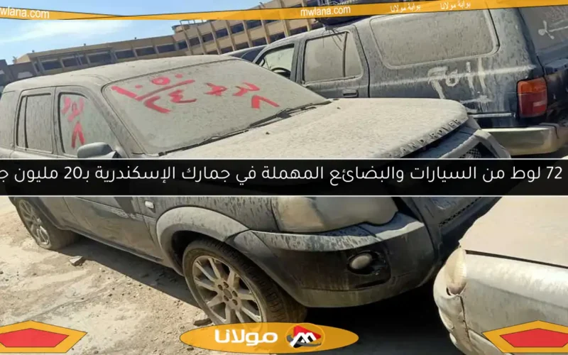 بيع 72 لوط من السيارات والبضائع المهملة في جمارك الإسكندرية بـ20 مليون جنيه