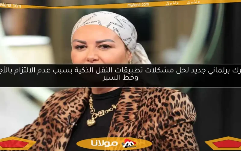 تحرك برلماني جديد لحل مشكلات تطبيقات النقل الذكية بسبب عدم الالتزام بالأجرة وخط السير