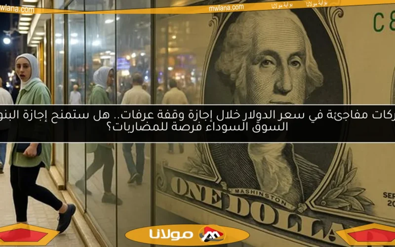 تحركات مفاجئة في سعر الدولار خلال إجازة وقفة عرفات.. هل ستمنح إجازة البنوك السوق السوداء فرصة للمضاربات؟