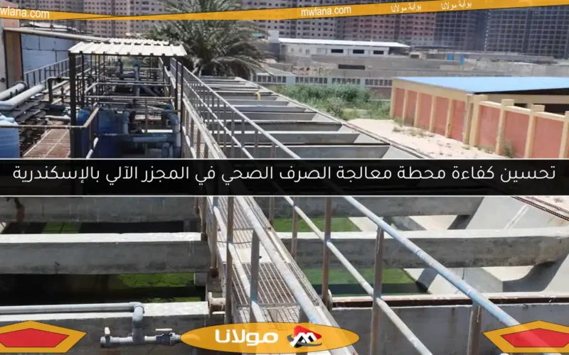 تحسين كفاءة محطة معالجة الصرف الصحي في المجزر الآلي بالإسكندرية