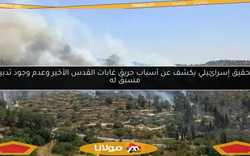 تحقيق إسرائيلي يكشف عن أسباب حريق غابات القدس الأخير وعدم وجود تدبير مسبق له