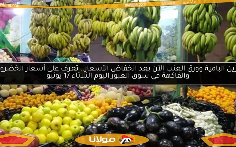 تخزين البامية وورق العنب الآن بعد انخفاض الأسعار.. تعرف على أسعار الخضروات والفاكهة في سوق العبور اليوم الثلاثاء 17 يونيو