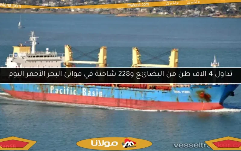 تداول 4 آلاف طن من البضائع و228 شاحنة في موانئ البحر الأحمر اليوم