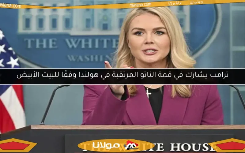ترامب يشارك في قمة الناتو المرتقبة في هولندا وفقًا للبيت الأبيض