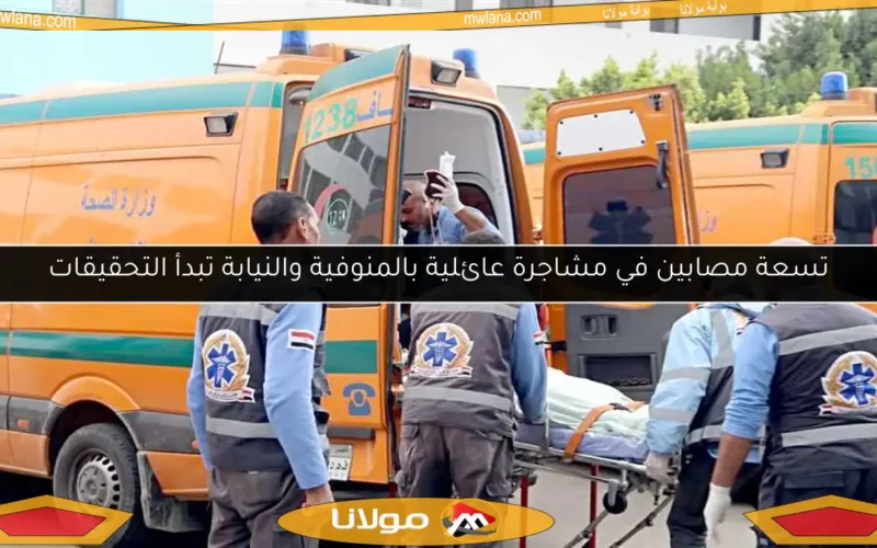 تسعة مصابين في مشاجرة عائلية بالمنوفية والنيابة تبدأ التحقيقات