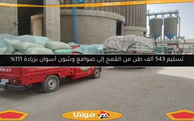 تسليم 543 ألف طن من القمح إلى صوامع وشون أسوان بزيادة 111%