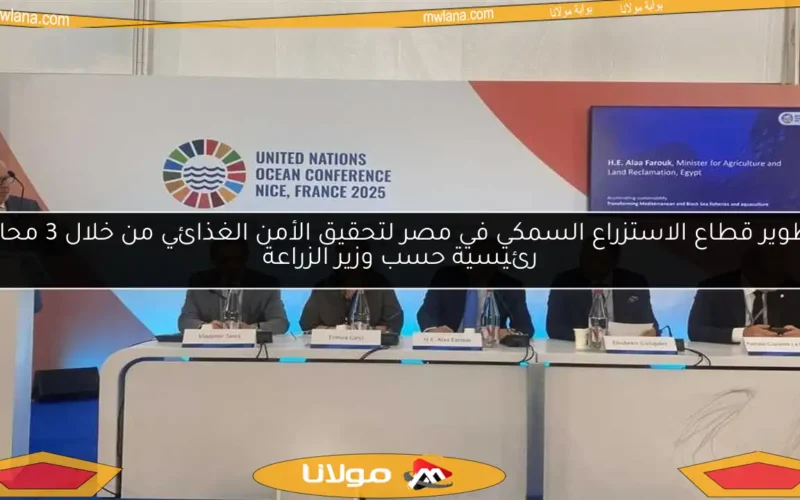 تطوير قطاع الاستزراع السمكي في مصر لتحقيق الأمن الغذائي من خلال 3 محاور رئيسية حسب وزير الزراعة