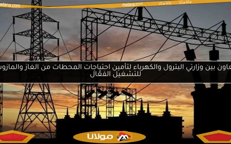تعاون بين وزارتي البترول والكهرباء لتأمين احتياجات المحطات من الغاز والمازوت للتشغيل الفعّال