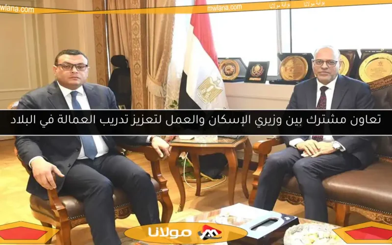 تعاون مشترك بين وزيري الإسكان والعمل لتعزيز تدريب العمالة في البلاد