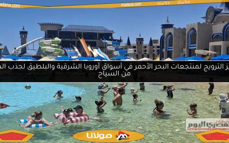 تعزيز الترويج لمنتجعات البحر الأحمر في أسواق أوروبا الشرقية والبلطيق لجذب المزيد من السياح