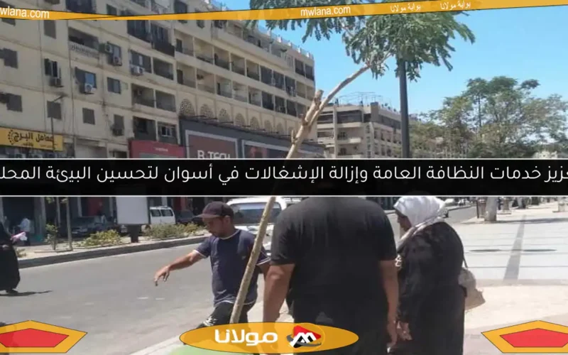 تعزيز خدمات النظافة العامة وإزالة الإشغالات في أسوان لتحسين البيئة المحلية