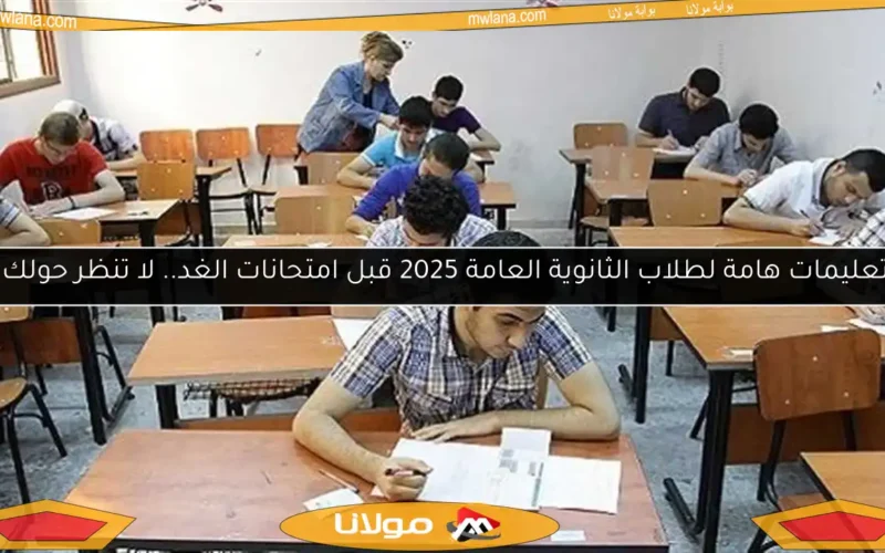 تعليمات هامة لطلاب الثانوية العامة 2025 قبل امتحانات الغد.. لا تنظر حولك!