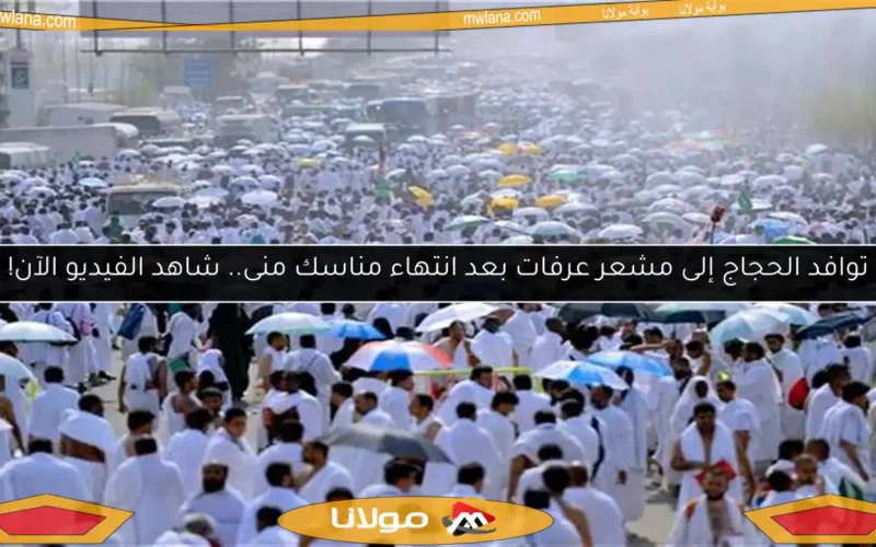 توافد الحجاج إلى مشعر عرفات بعد انتهاء مناسك منى.. شاهد الفيديو الآن!