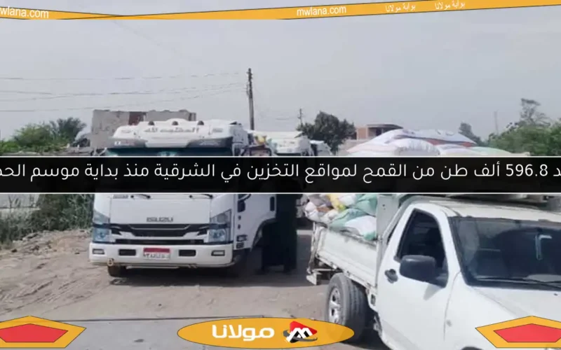 توريد 596.8 ألف طن من القمح لمواقع التخزين في الشرقية منذ بداية موسم الحصاد