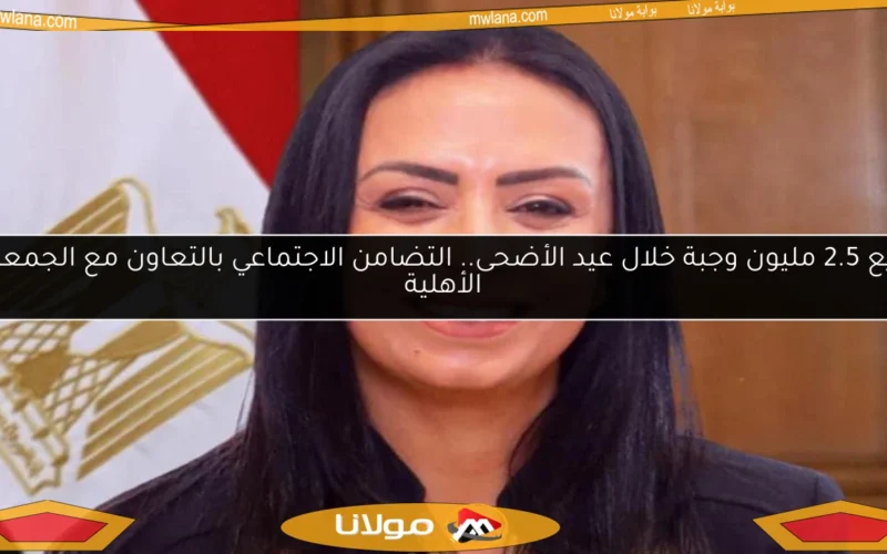 توزيع 2.5 مليون وجبة خلال عيد الأضحى.. التضامن الاجتماعي بالتعاون مع الجمعيات الأهلية