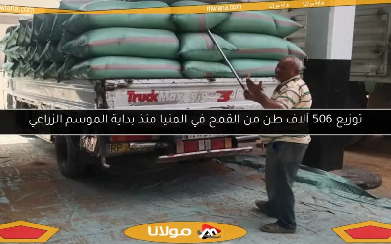 توزيع 506 آلاف طن من القمح في المنيا منذ بداية الموسم الزراعي