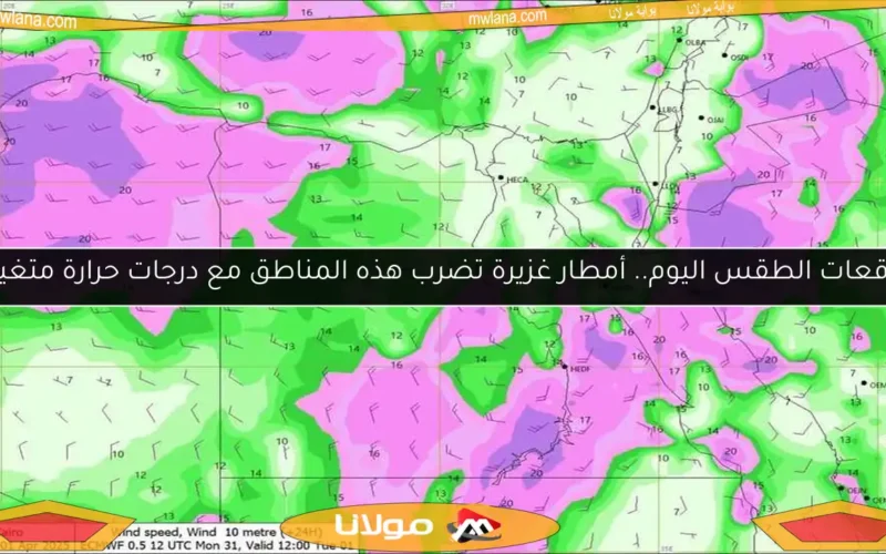 توقعات الطقس اليوم.. أمطار غزيرة تضرب هذه المناطق مع درجات حرارة متغيرة