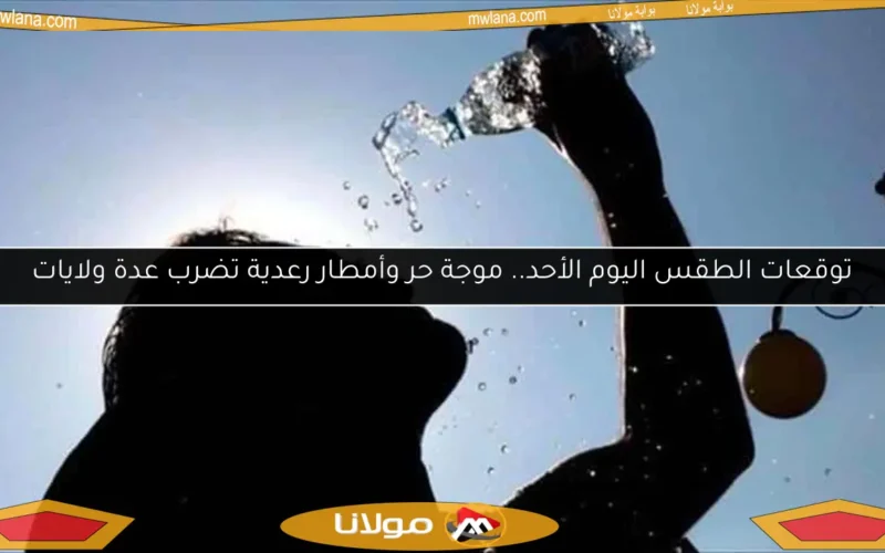 توقعات الطقس اليوم الأحد.. موجة حر وأمطار رعدية تضرب عدة ولايات