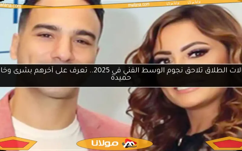 حالات الطلاق تلاحق نجوم الوسط الفني في 2025.. تعرف على آخرهم بشرى وخالد حميدة