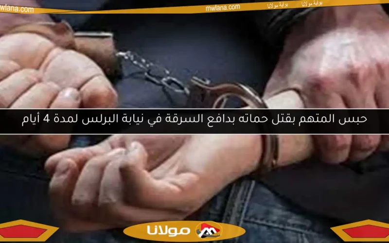حبس المتهم بقتل حماته بدافع السرقة في نيابة البرلس لمدة 4 أيام