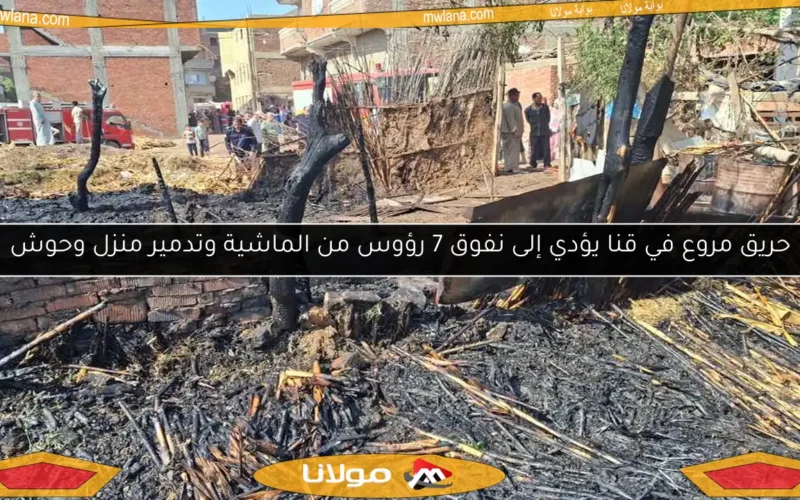 حريق مروع في قنا يؤدي إلى نفوق 7 رؤوس من الماشية وتدمير منزل وحوش