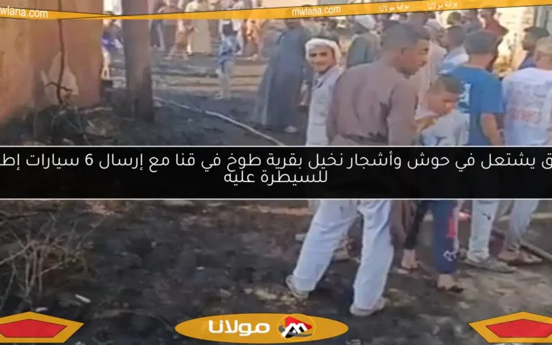 حريق يشتعل في حوش وأشجار نخيل بقرية طوخ في قنا مع إرسال 6 سيارات إطفاء للسيطرة عليه