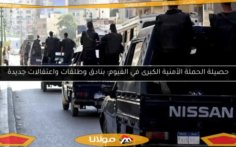 حصيلة الحملة الأمنية الكبرى في الفيوم: بنادق وطلقات واعتقالات جديدة