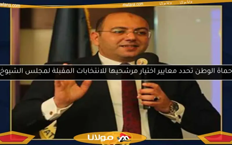 حماة الوطن تحدد معايير اختيار مرشحيها للانتخابات المقبلة لمجلس الشيوخ