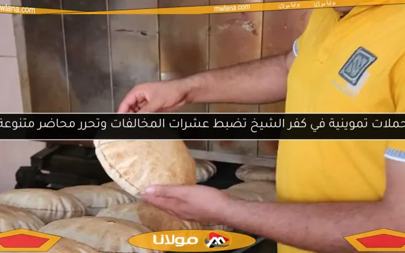 حملات تموينية في كفر الشيخ تضبط عشرات المخالفات وتحرر محاضر متنوعة