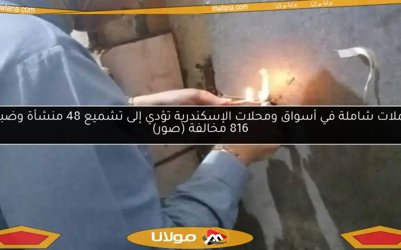 حملات شاملة في أسواق ومحلات الإسكندرية تؤدي إلى تشميع 48 منشأة وضبط 816 مخالفة (صور)