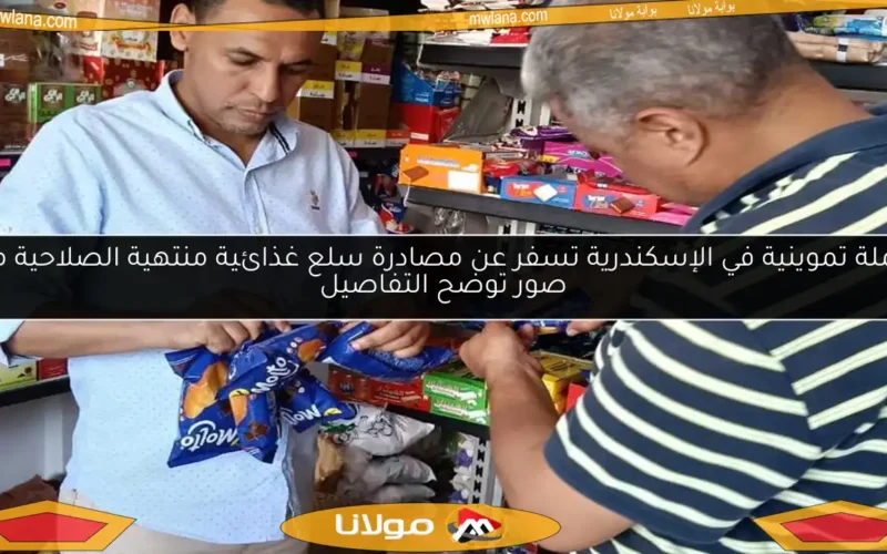حملة تموينية في الإسكندرية تسفر عن مصادرة سلع غذائية منتهية الصلاحية مع صور توضح التفاصيل