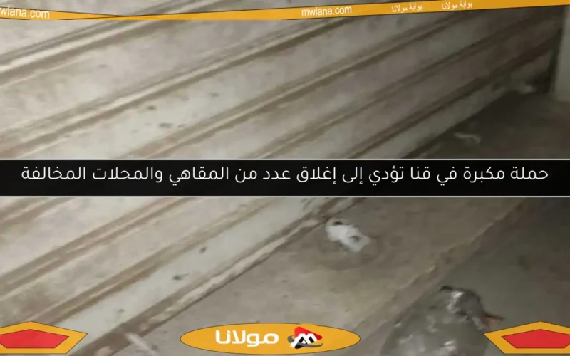 حملة مكبرة في قنا تؤدي إلى إغلاق عدد من المقاهي والمحلات المخالفة