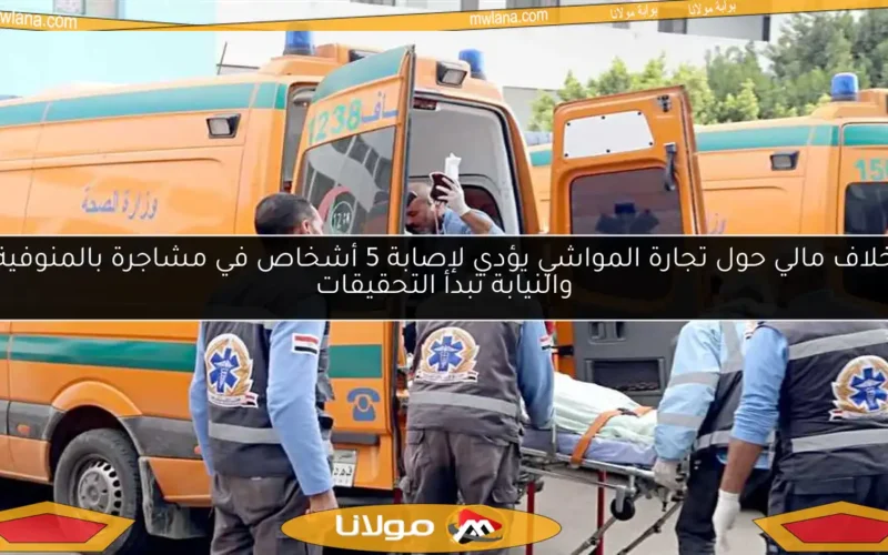 خلاف مالي حول تجارة المواشي يؤدي لإصابة 5 أشخاص في مشاجرة بالمنوفية والنيابة تبدأ التحقيقات