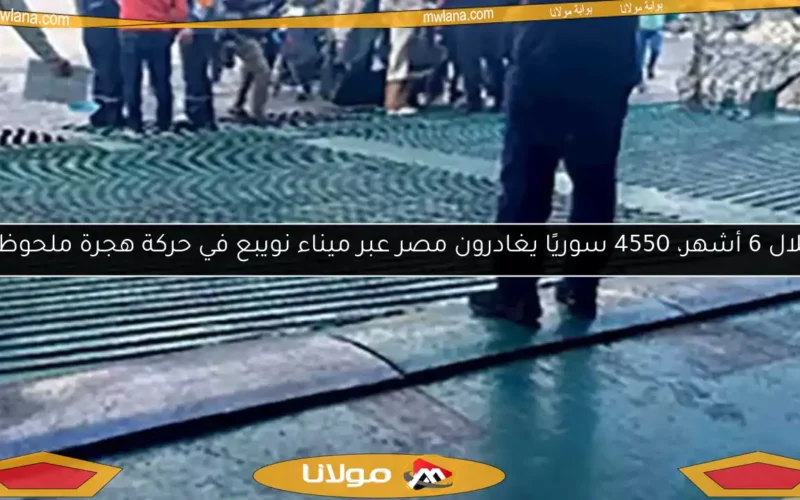 خلال 6 أشهر، 4550 سوريًا يغادرون مصر عبر ميناء نويبع في حركة هجرة ملحوظة