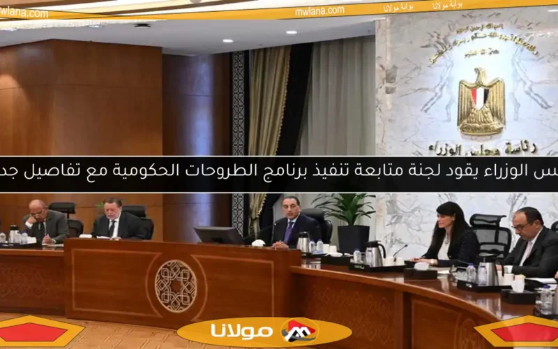 رئيس الوزراء يقود لجنة متابعة تنفيذ برنامج الطروحات الحكومية مع تفاصيل جديدة