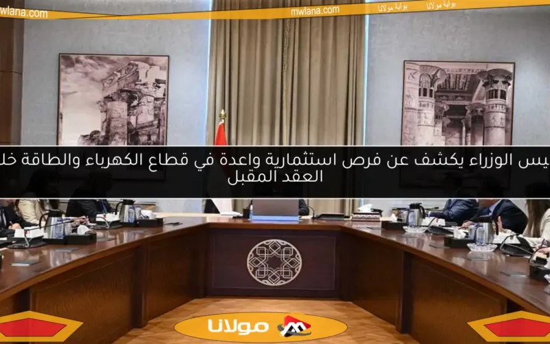 رئيس الوزراء يكشف عن فرص استثمارية واعدة في قطاع الكهرباء والطاقة خلال العقد المقبل