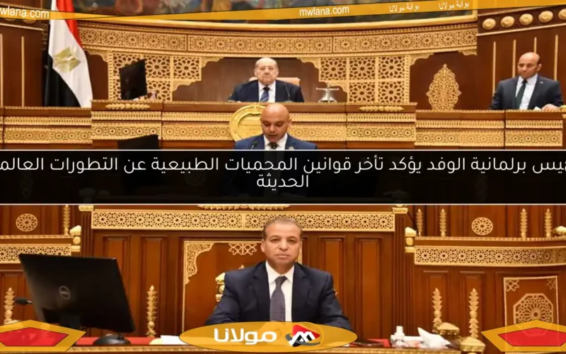 رئيس برلمانية الوفد يؤكد تأخر قوانين المحميات الطبيعية عن التطورات العالمية الحديثة