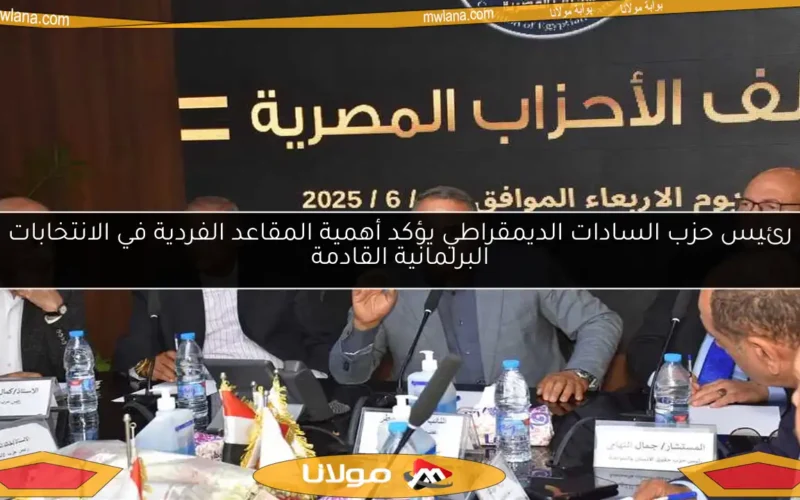 رئيس حزب السادات الديمقراطي يؤكد أهمية المقاعد الفردية في الانتخابات البرلمانية القادمة
