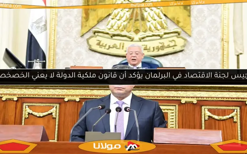 رئيس لجنة الاقتصاد في البرلمان يؤكد أن قانون ملكية الدولة لا يعني الخصخصة