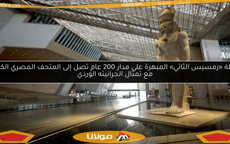 رحلة «رمسيس الثاني» المبهرة على مدار 200 عام تصل إلى المتحف المصري الكبير مع تمثال الجرانيته الوردي