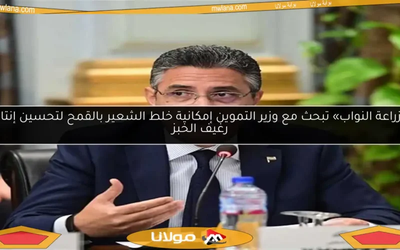 «زراعة النواب» تبحث مع وزير التموين إمكانية خلط الشعير بالقمح لتحسين إنتاج رغيف الخبز